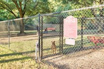 Onsite dog park with washing station